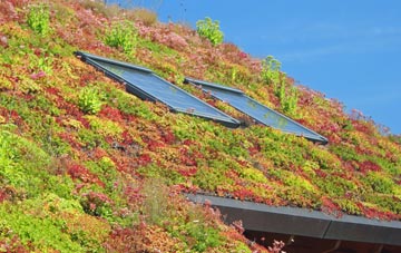 Ribchester living roof systems