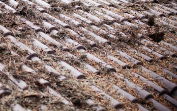 Ribchester roof cleaning companies