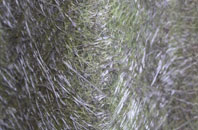 Ribchester fibreglass roof work